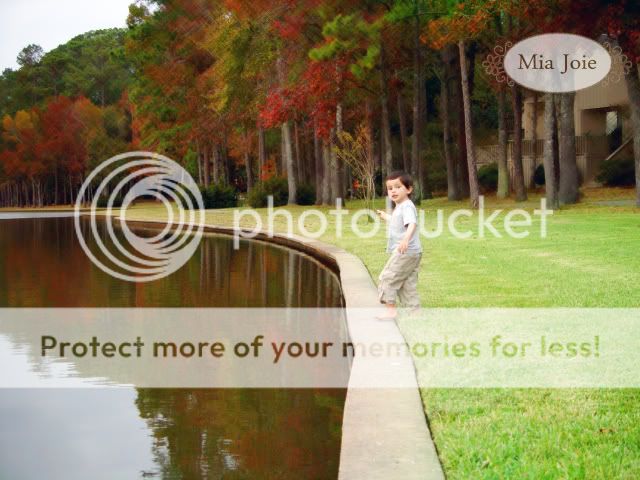 Photobucket - Video and Image Hosting