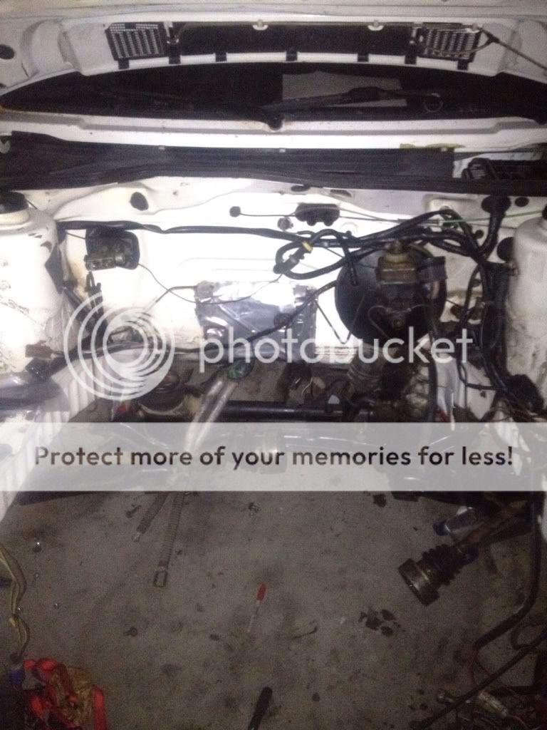 Vwvortex Com
