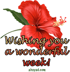 wonderfulweek7gb.gif picture by hoalylily