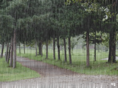 xoatanbui.gif picture by hoalylily