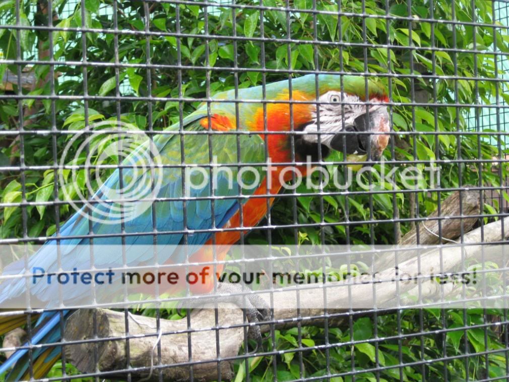 Photobucket