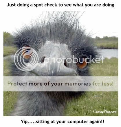 funny-18.jpg