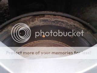 CopyofIMG00147-20110224-0814-1.jpg