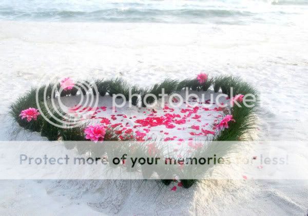 heart Pictures, Images and Photos