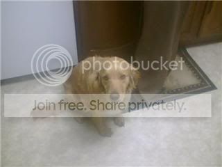[Image: GetAttachment33.jpg]