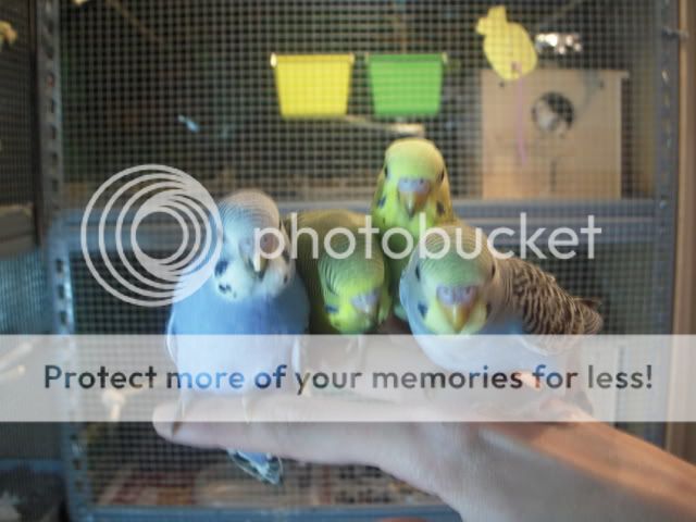 DSCN7563_447.jpg
