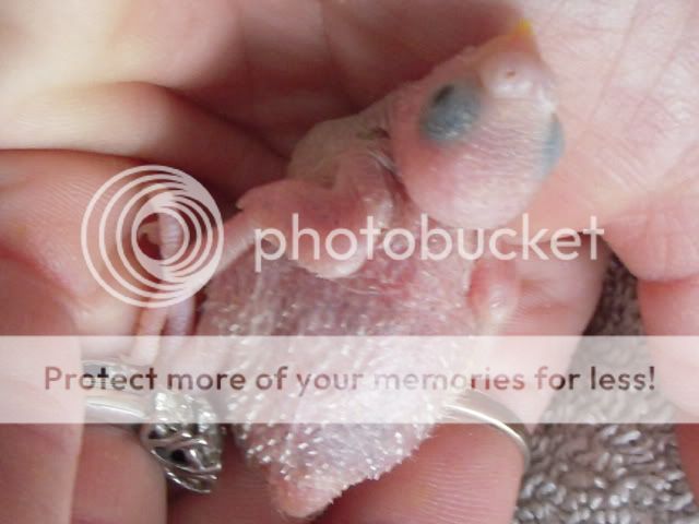 RSCN7116_193.jpg